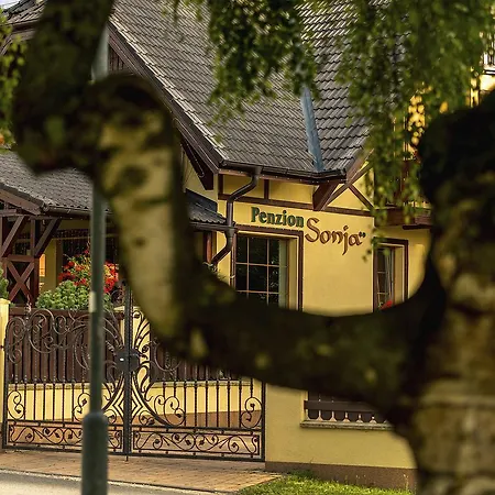 Sonja Casa de hóspedes Vyšné Ružbachy