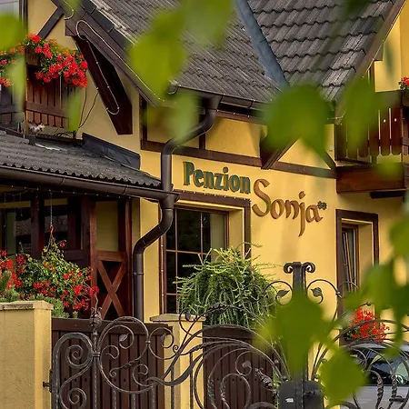 Casa de hóspedes Sonja Vyšné Ružbachy